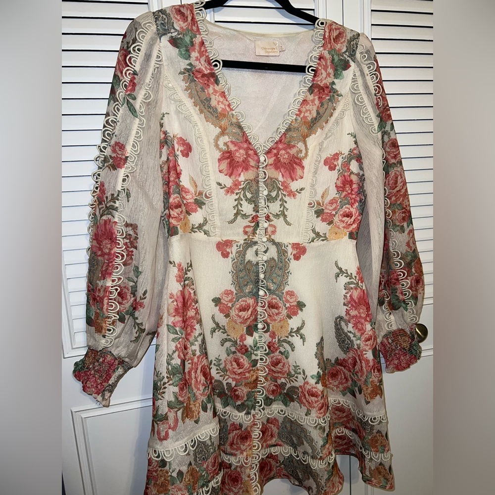 Anthropologie Champagne & Strawberry Dress